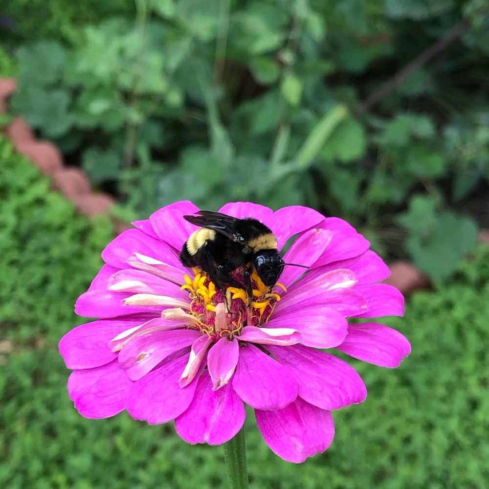 Meet your Posher, Sandra